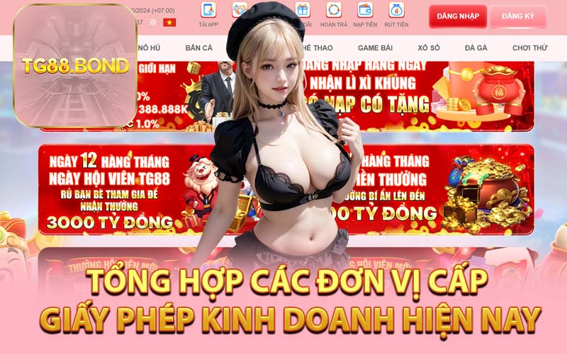 Tổng Hợp Các Đơn Vị Cấp Giấy Phép Kinh Doanh Hiện Nay